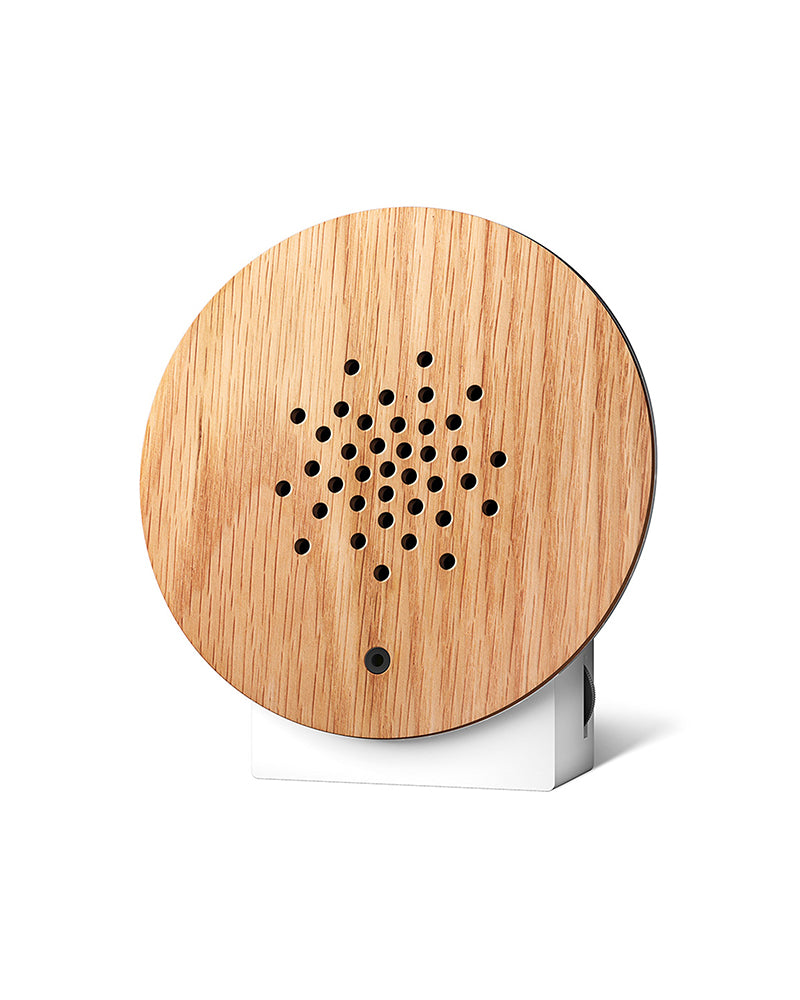 Zee en golven geluidsdoos eik